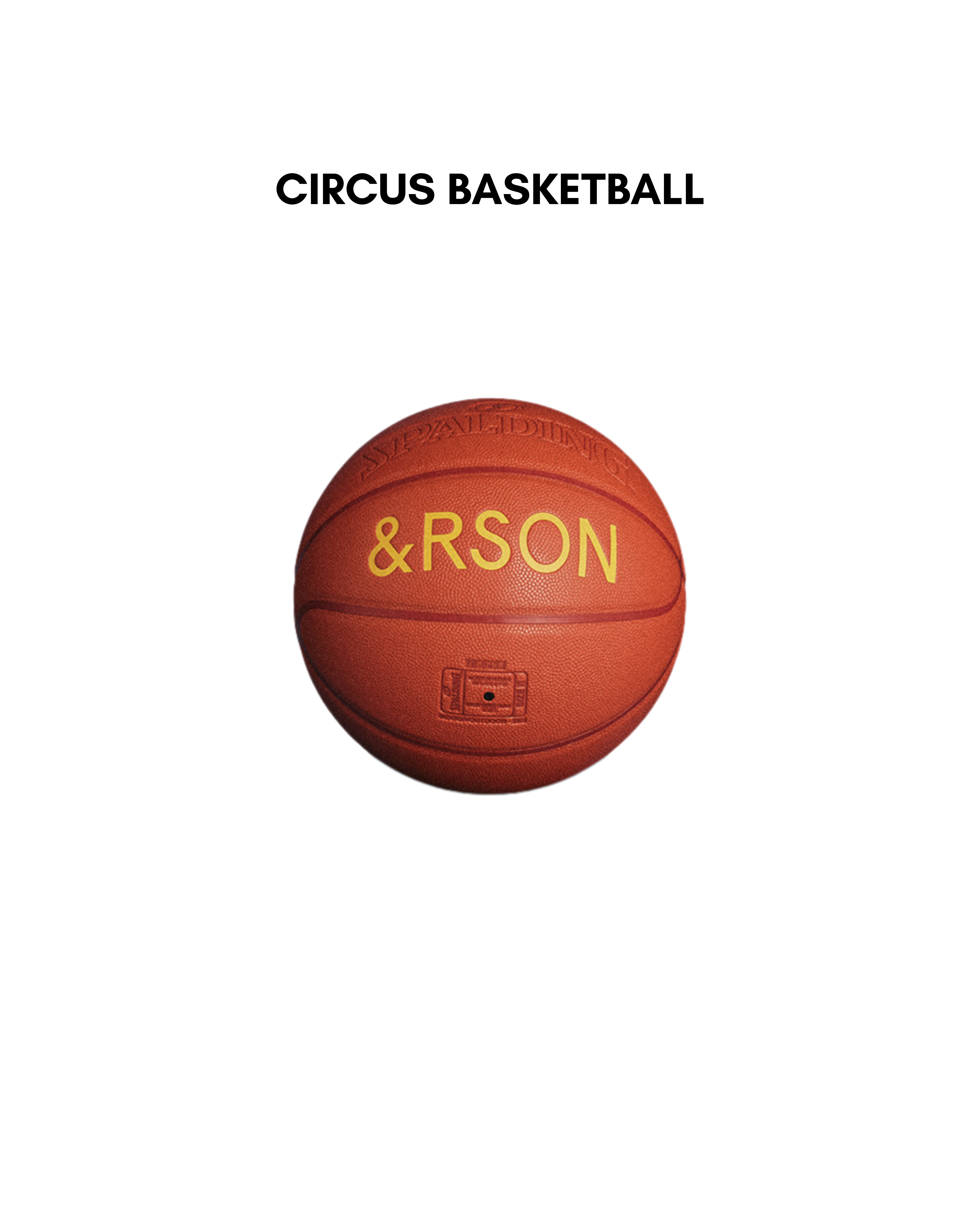 BASKETBALL PLAYER SET【ボール付き】