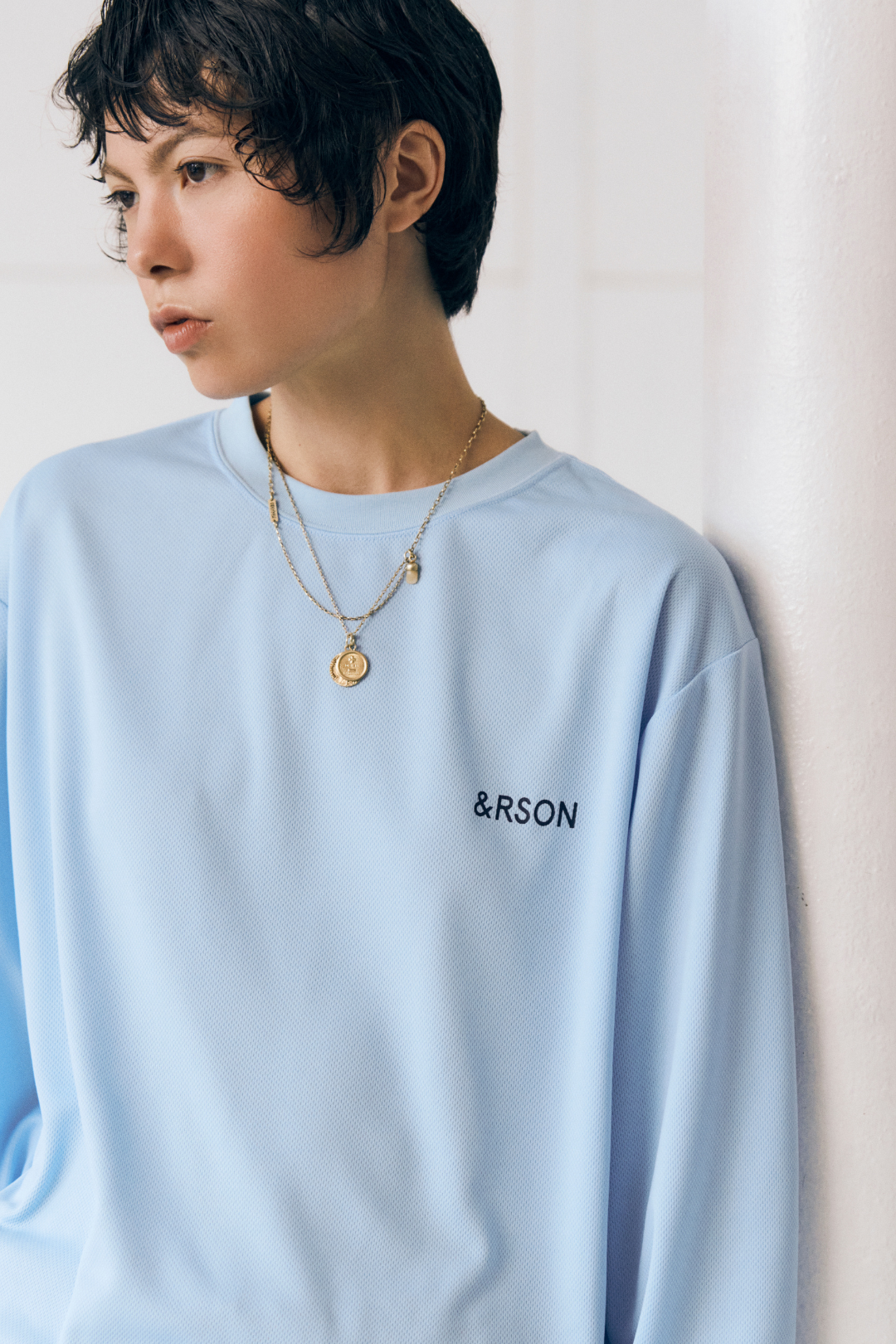 STANDARD L/S T-SHIRTS (アルペン限定)